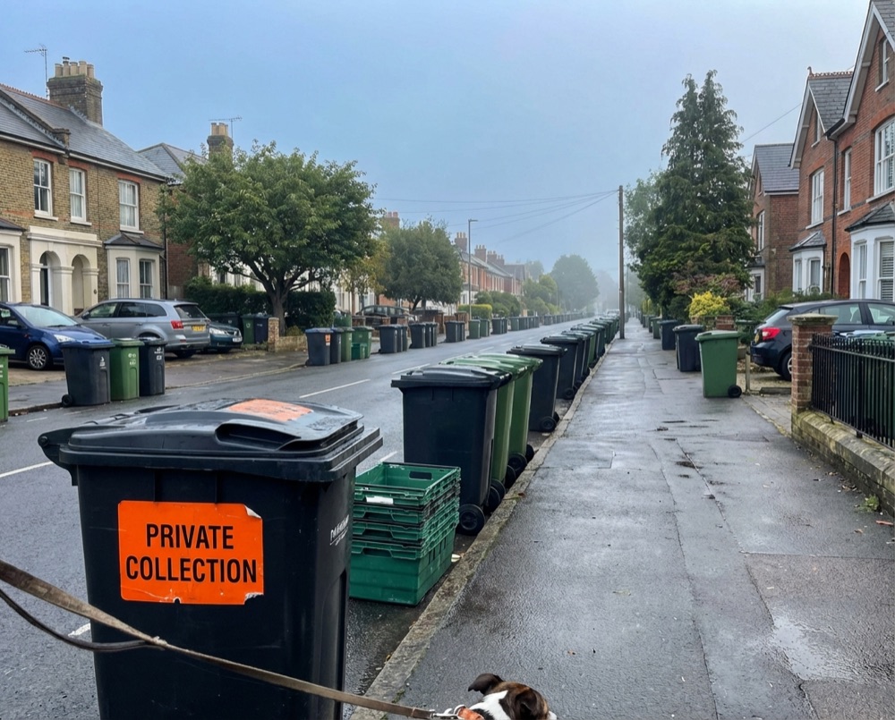 Residential street with bins in Goring-by-Sea awaiting collection